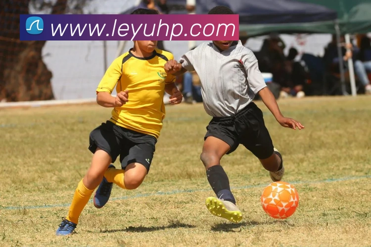 乐鱼体育APP 高清赛事图