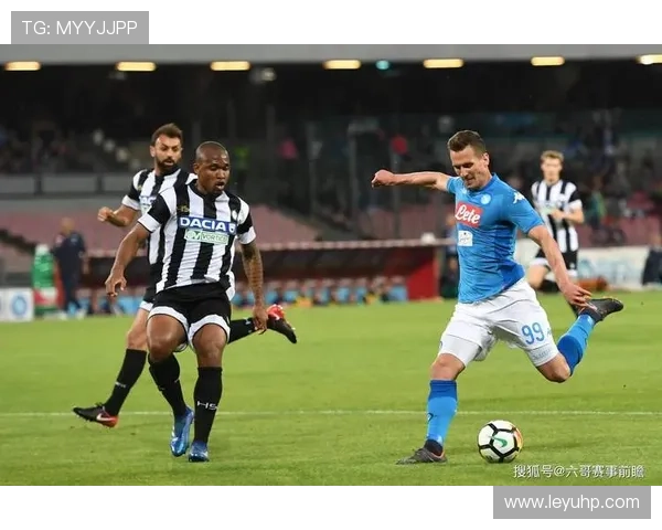 意甲几只球队：统计意甲联赛中的球队数量与结构